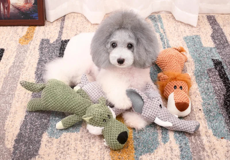 WildPaws Squeaky Chew