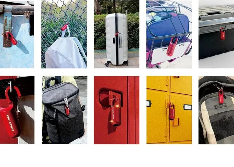 TravelGuardian Biometric Lock