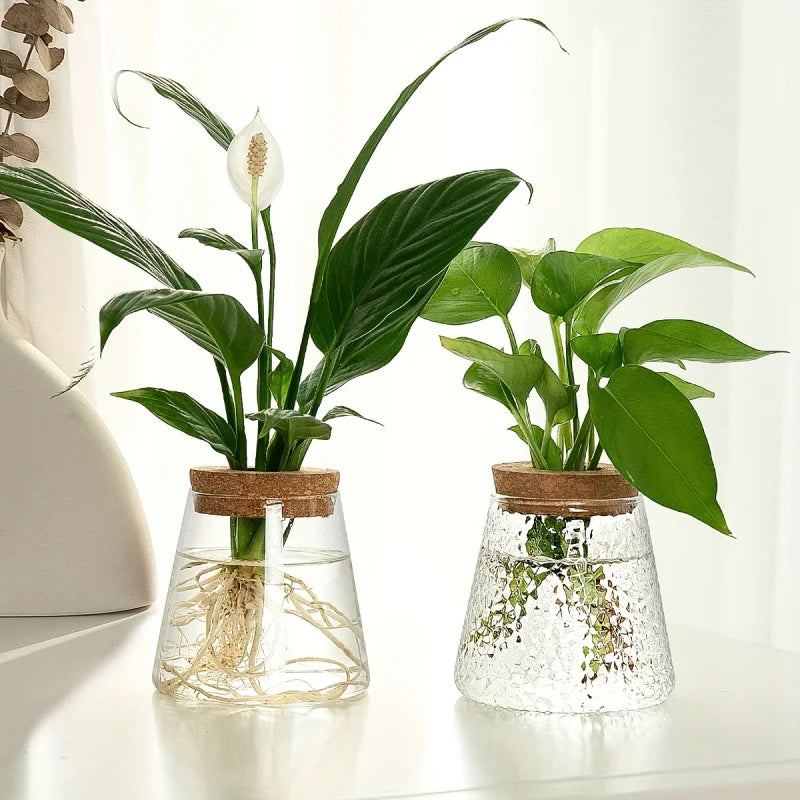 AquaBloom Propagation Station