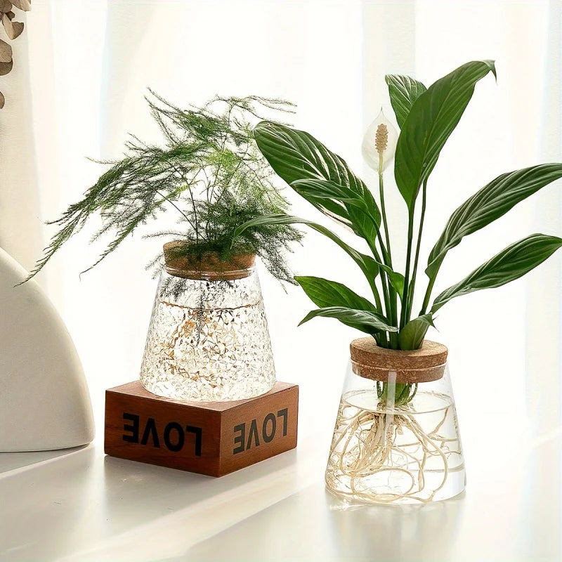 AquaBloom Propagation Station