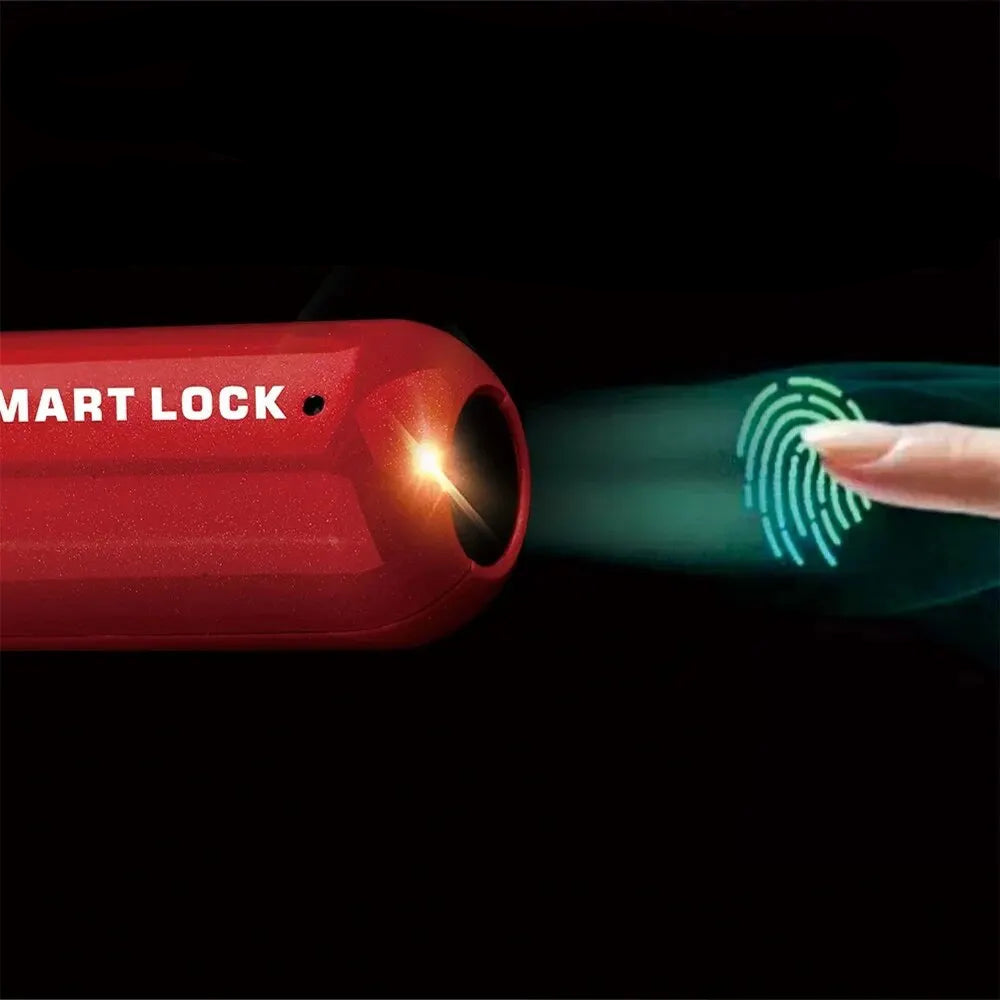 TravelGuardian Biometric Lock