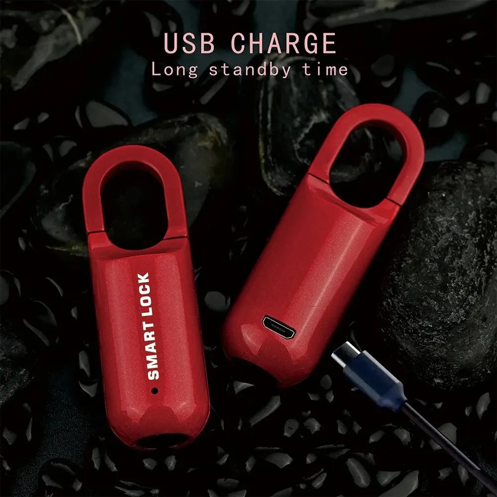 TravelGuardian Biometric Lock