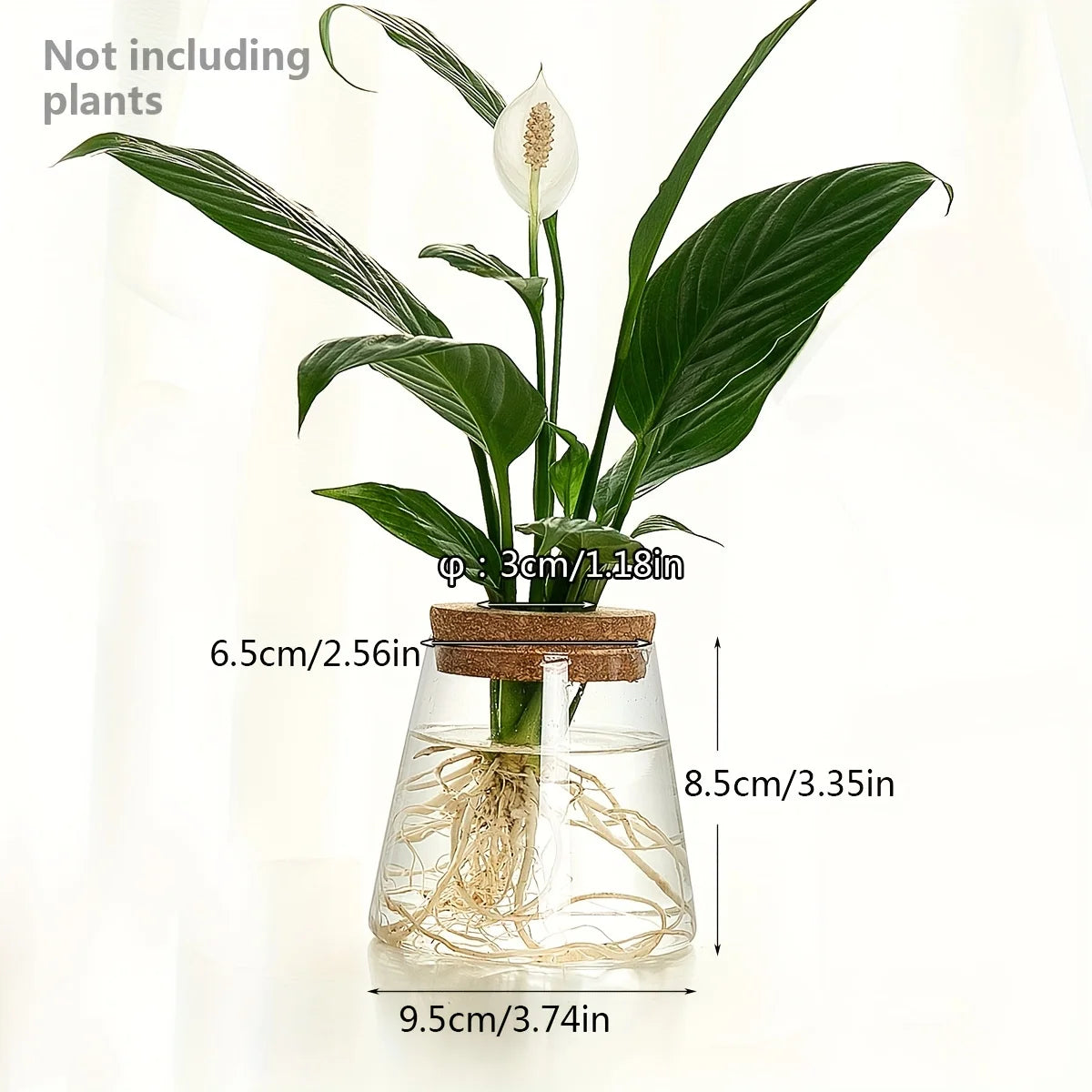 AquaBloom Propagation Station