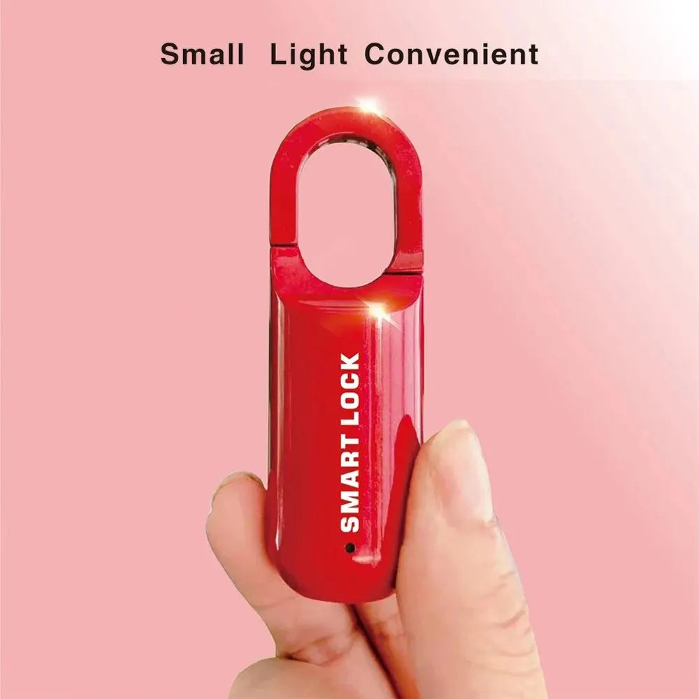 TravelGuardian Biometric Lock