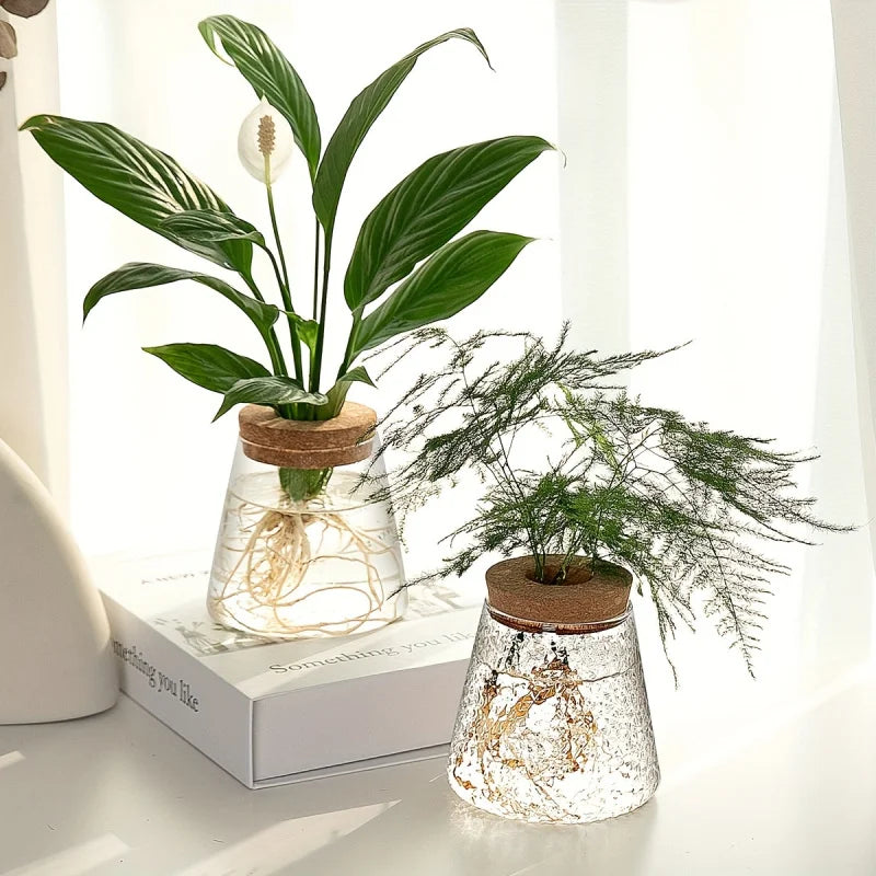 AquaBloom Propagation Station