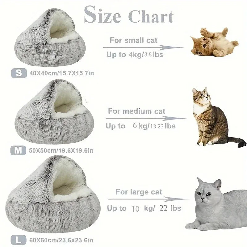 Kitty Dreams