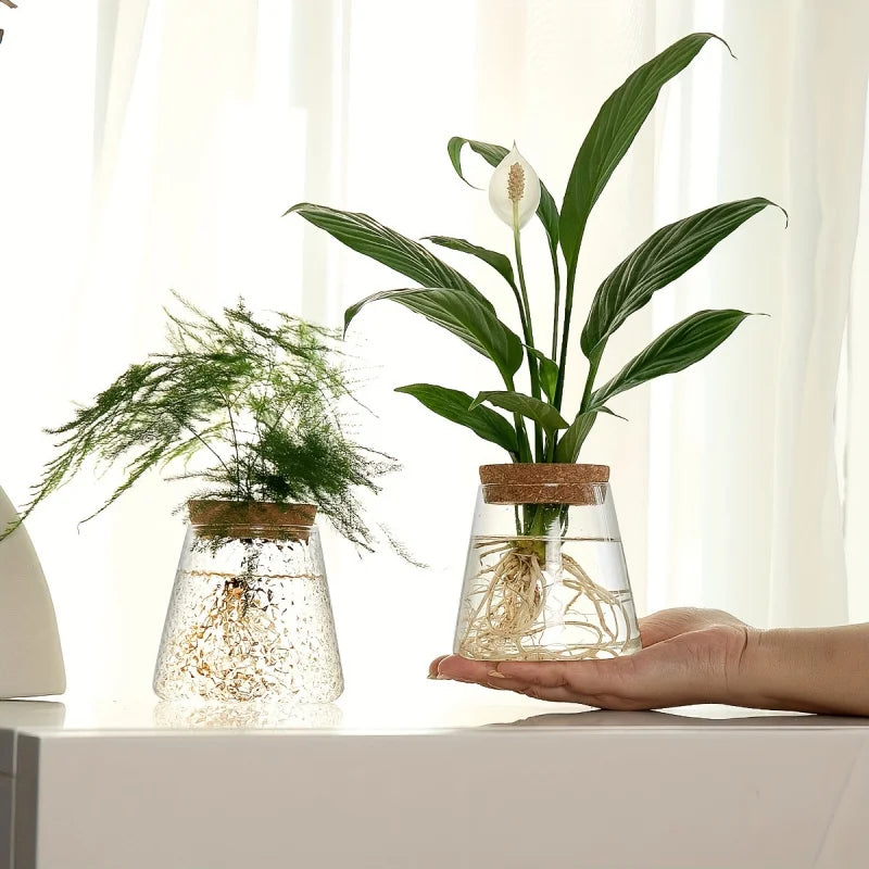 AquaBloom Propagation Station
