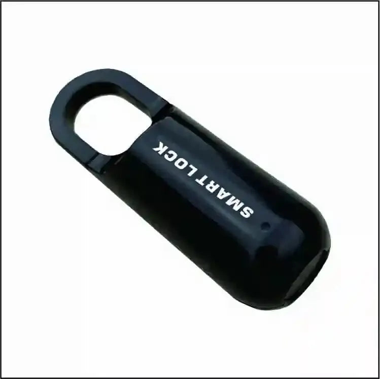 TravelGuardian Biometric Lock