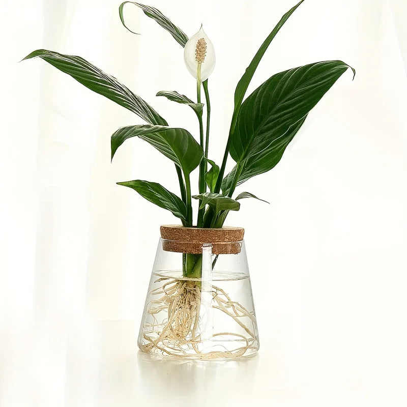 AquaBloom Propagation Station