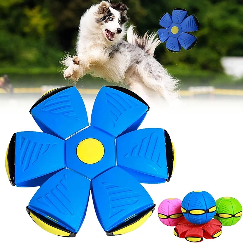 Pet Toys Magic Funny Flying Saucer Outdoor